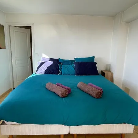 Maison 5 Chambres Piscine Willa Le Cannet
